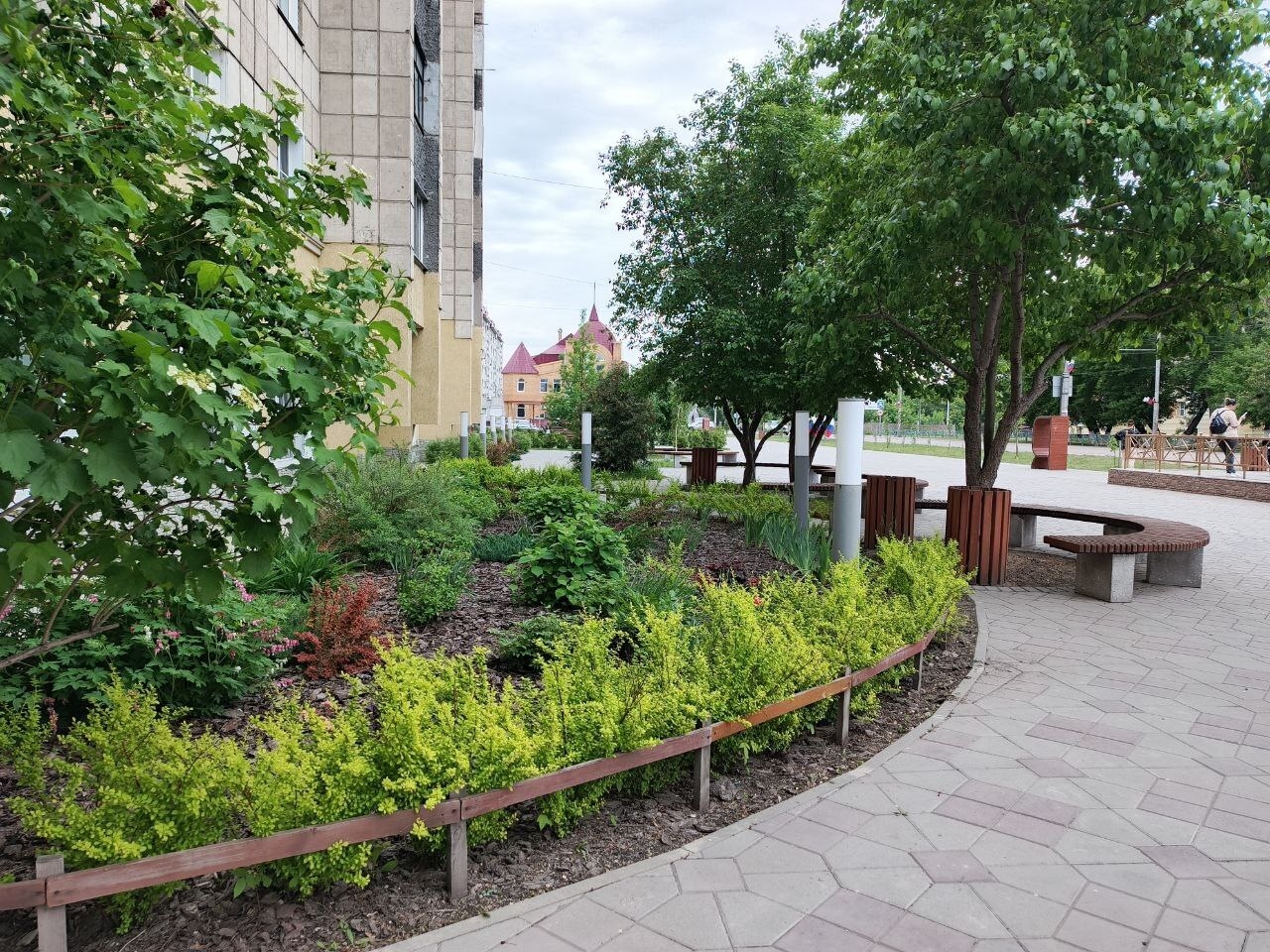 зеленые насаждения