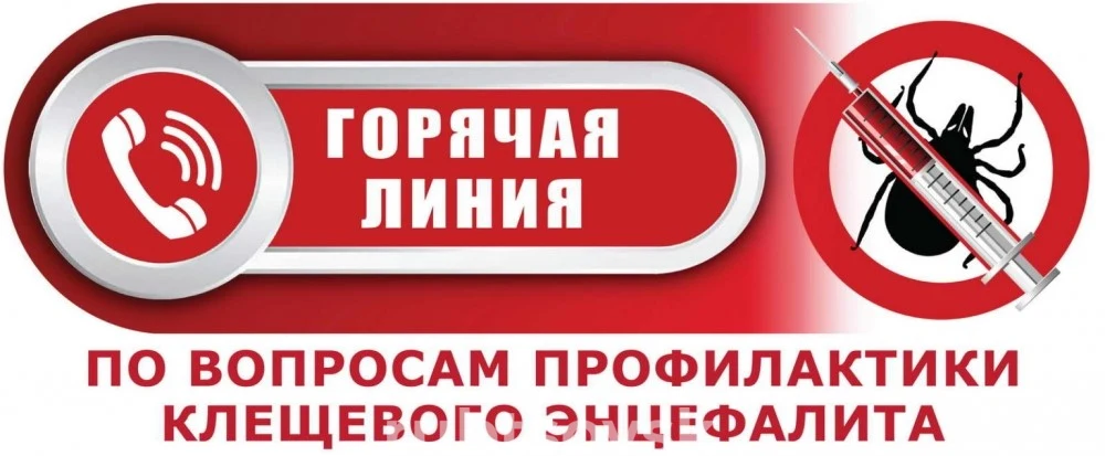 Баннер "прямой линии"