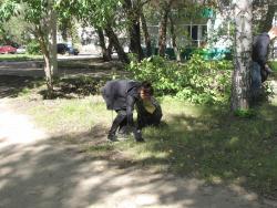 img_7228_h.jpg