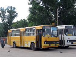 avtobus_h.jpg