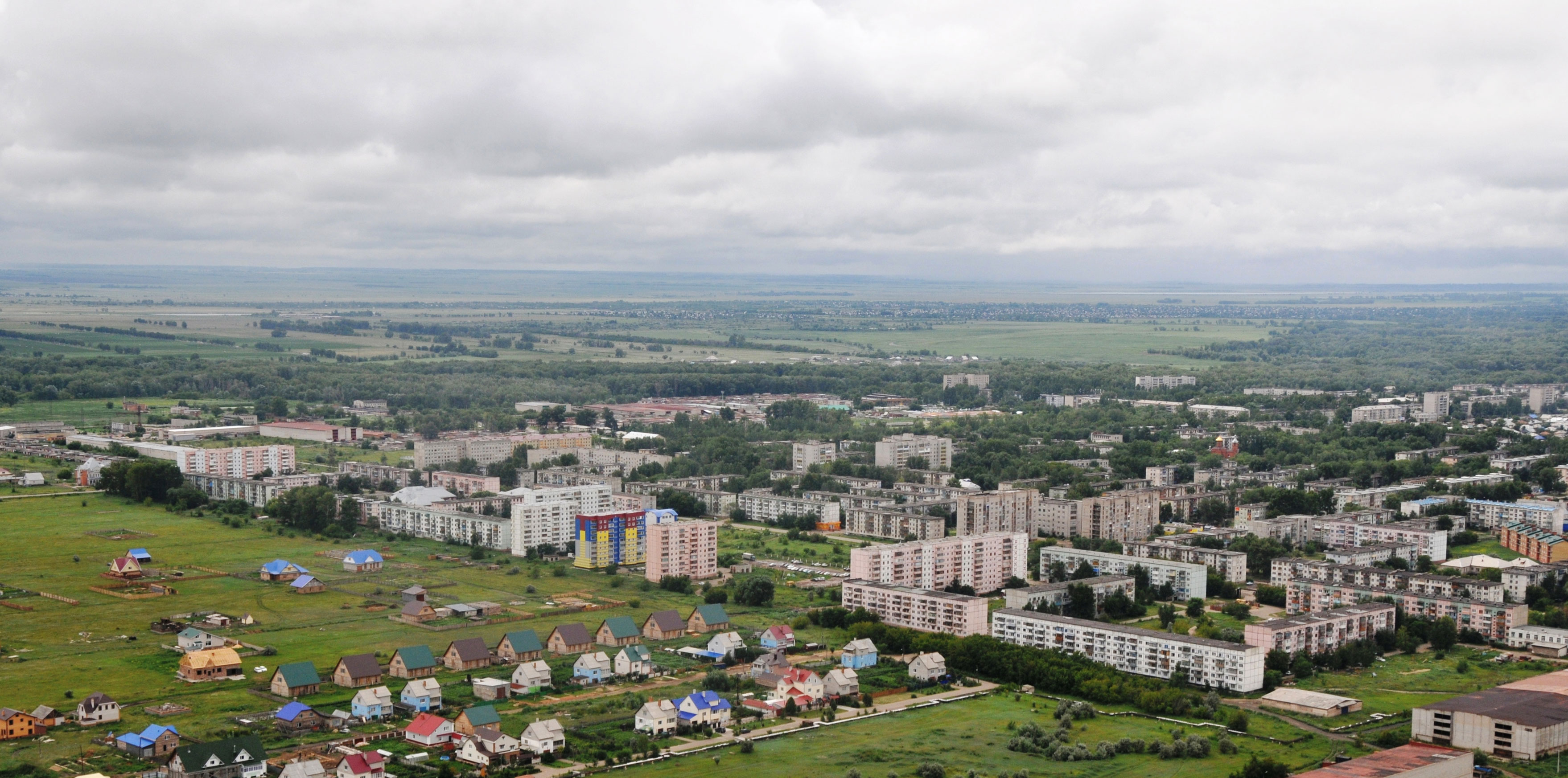 Степи Рубцовского района
