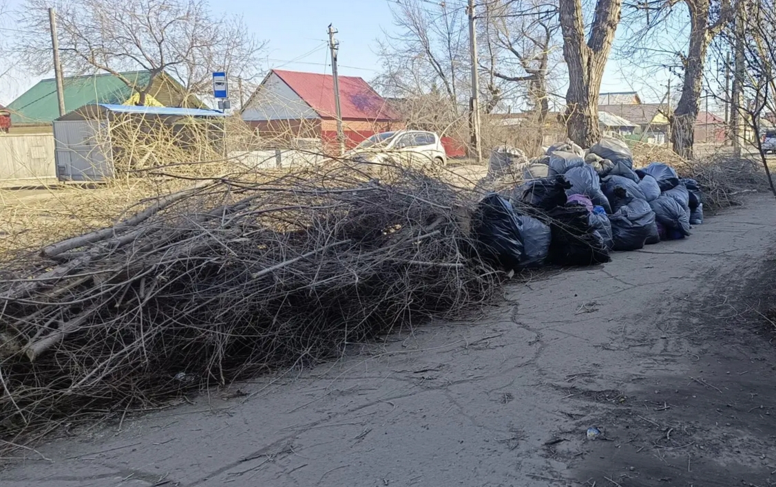 мешки мусора и ветки