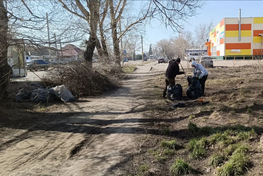 люди убирают территорию