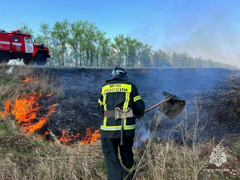 В Алтайском крае действует особый противопожарный режим  ⁣
