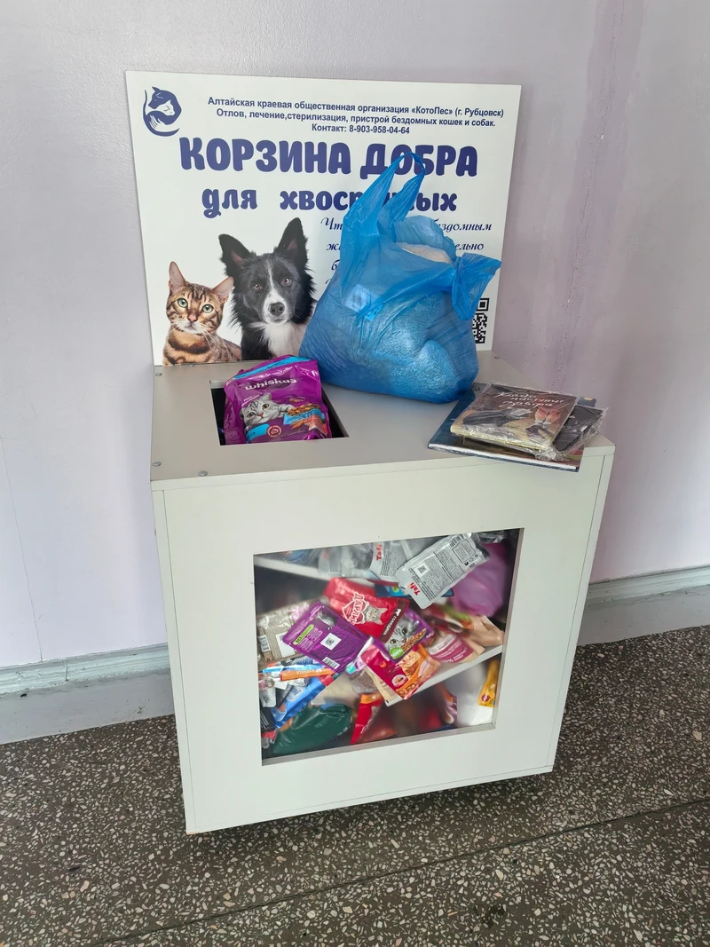 От «Добрых соседей» до «Города без опасностей» - как «КотоПес»  заботится о животных