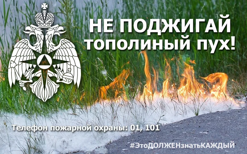 Территориальный отдел надзорной деятельности и профилактической работы № 4 управления надзорной деятельности и профилактической работы Главного управления МЧС России по Алтайскому краю напоминает