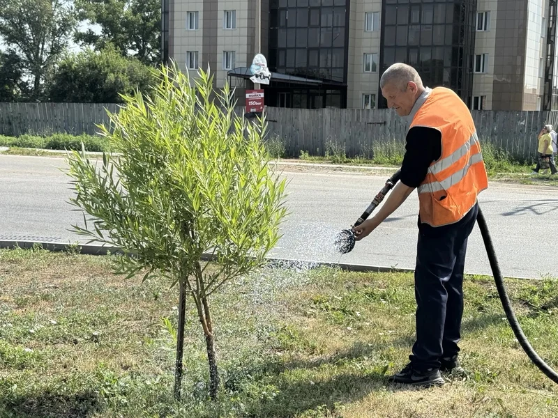 В Рубцовске продолжаются работы по летнему содержанию улично-дорожной сети ⁣