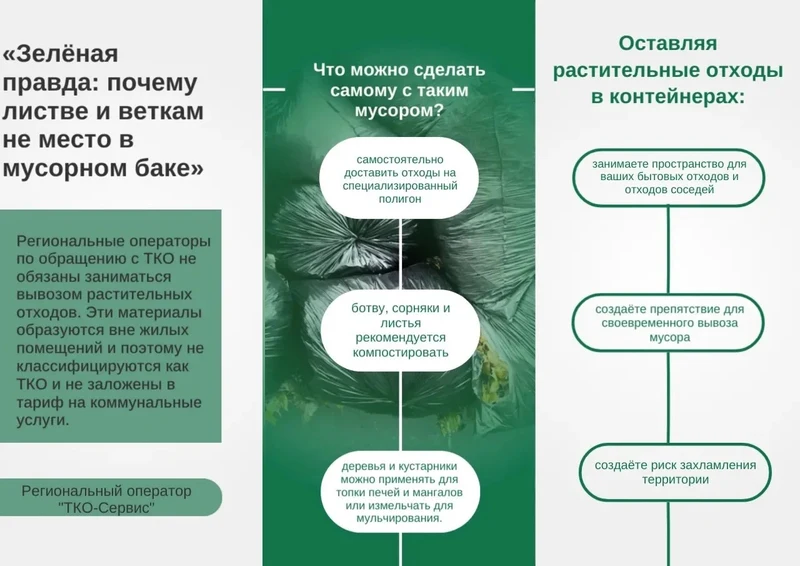 О ликвидации несанкционированных свалок