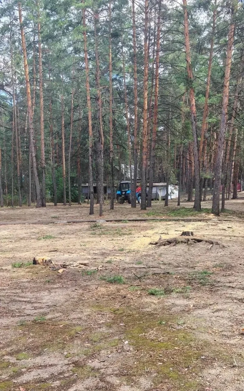 Последствия урагана в детском лагере «Салют» устранены