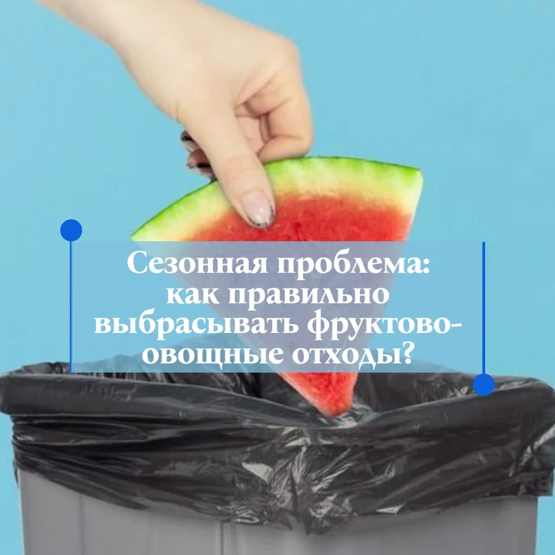 Сезонная проблема: как правильно выбрасывать фруктово-овощные отходы