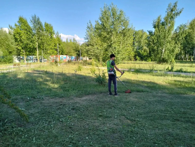 В Рубцовске продолжаются работы по покосу травы на общественных территориях