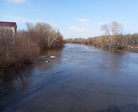 Гидрологическая обстановка на реке Алей