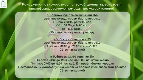 памятка клещи 