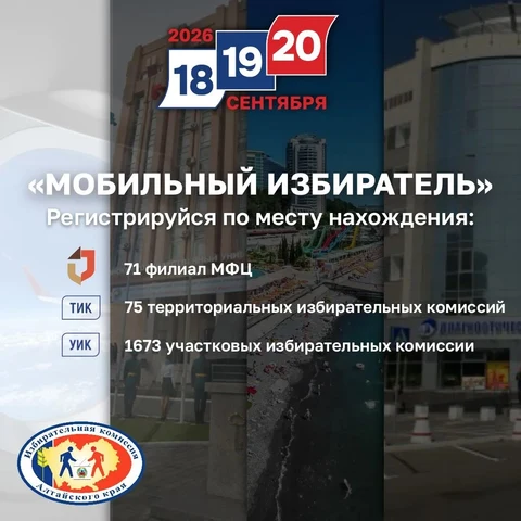 баннер мобильный избиратель
