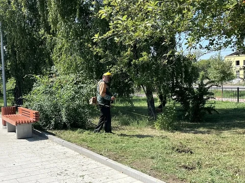 покос травы