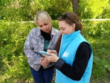 Волонтёры благоустройства 