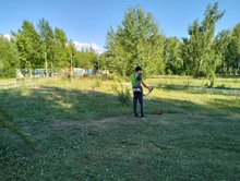 покос травы