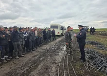мигранты