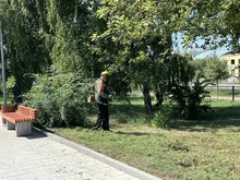 покос травы