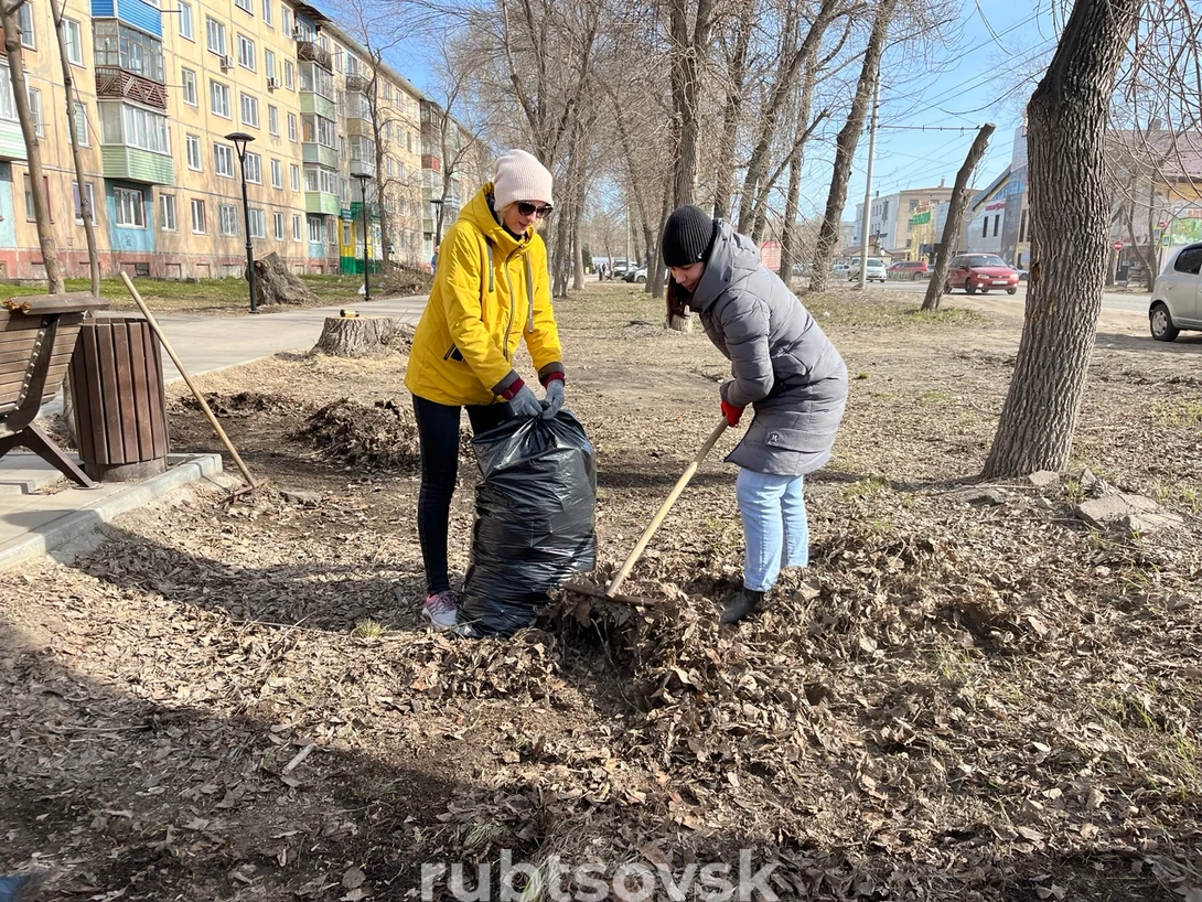 Субботник на Алее участников СВО