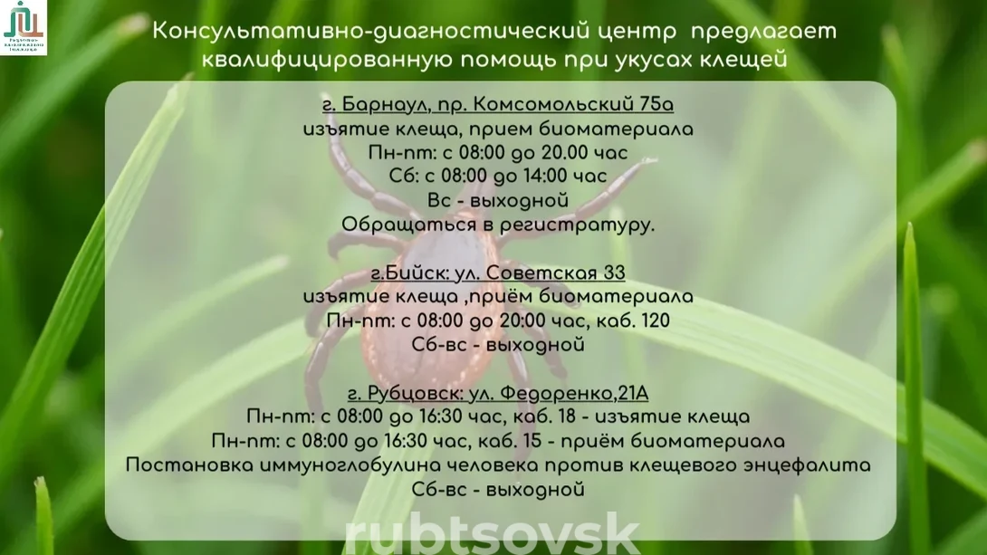 памятка клещи 