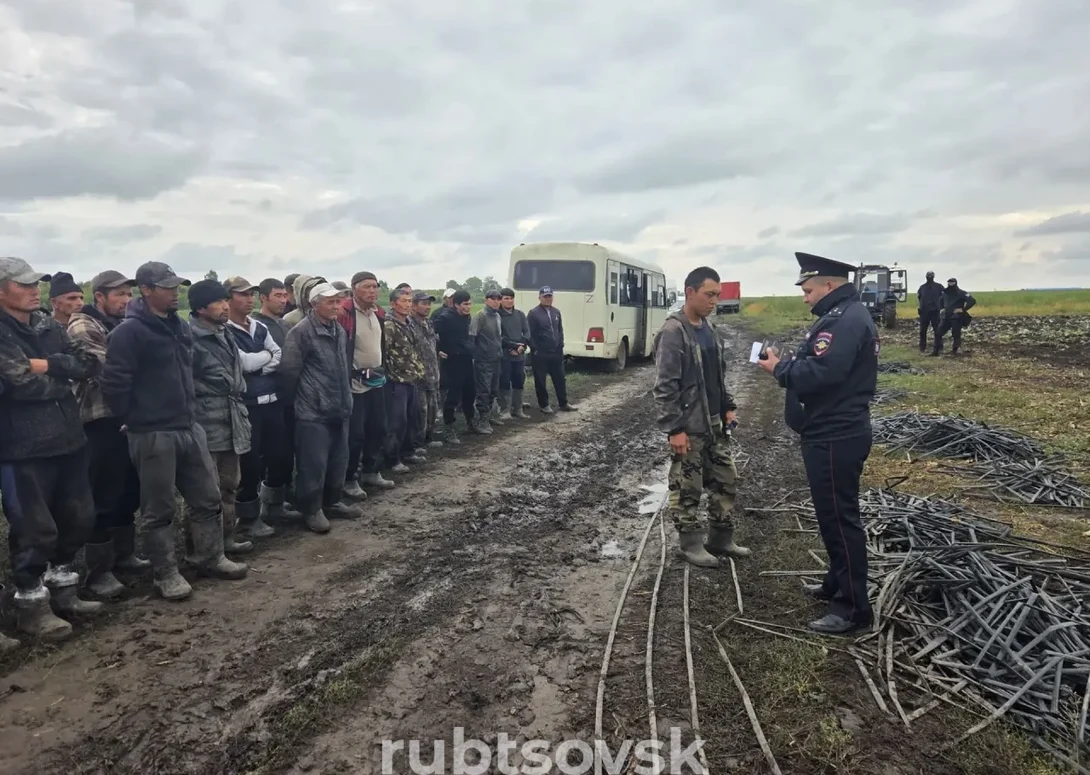 мигранты