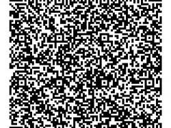 qr-code_platiqr_14_jan_2020_5-7-58_1_h.jpg